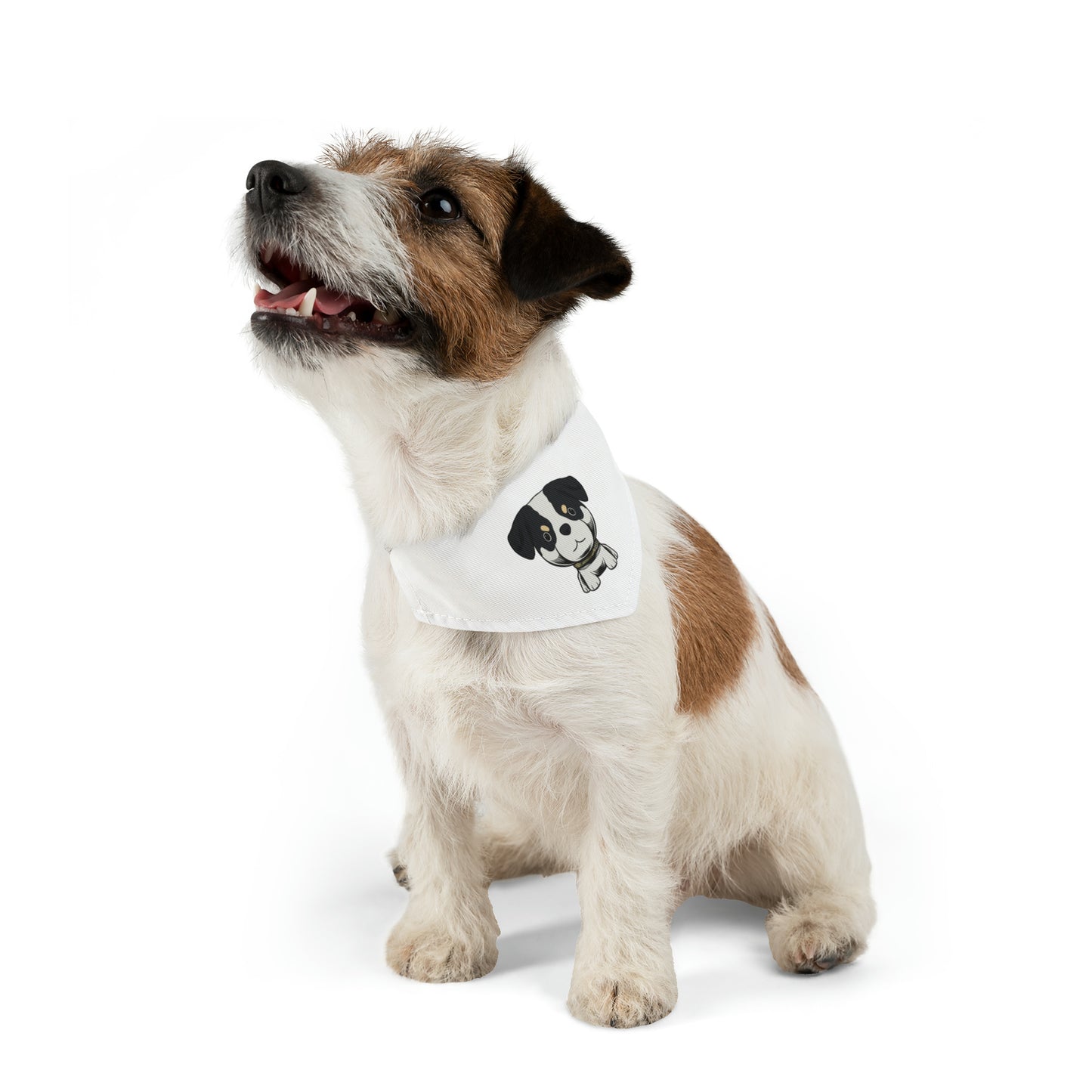 DustyDoll Cartoon Pet Bandana Collar